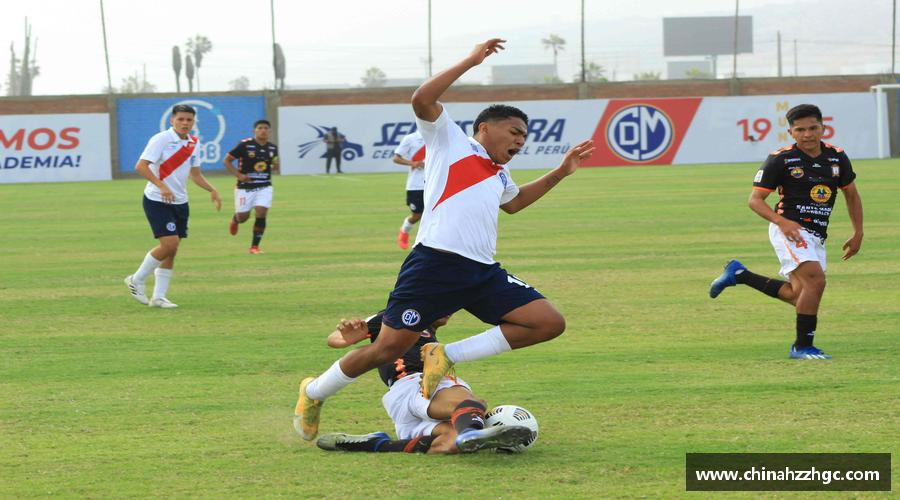 蓝狮在线官方网站突破自我，成就非凡！